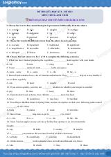 Đề số 2 - Đề kiểm tra giữa kì 2 - Tiếng Anh 9 mới